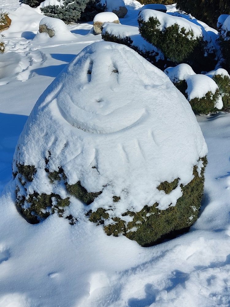 Photograph by Нина Паршина