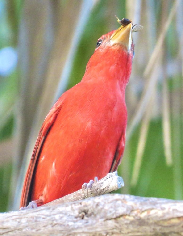 Photograph by Barbara