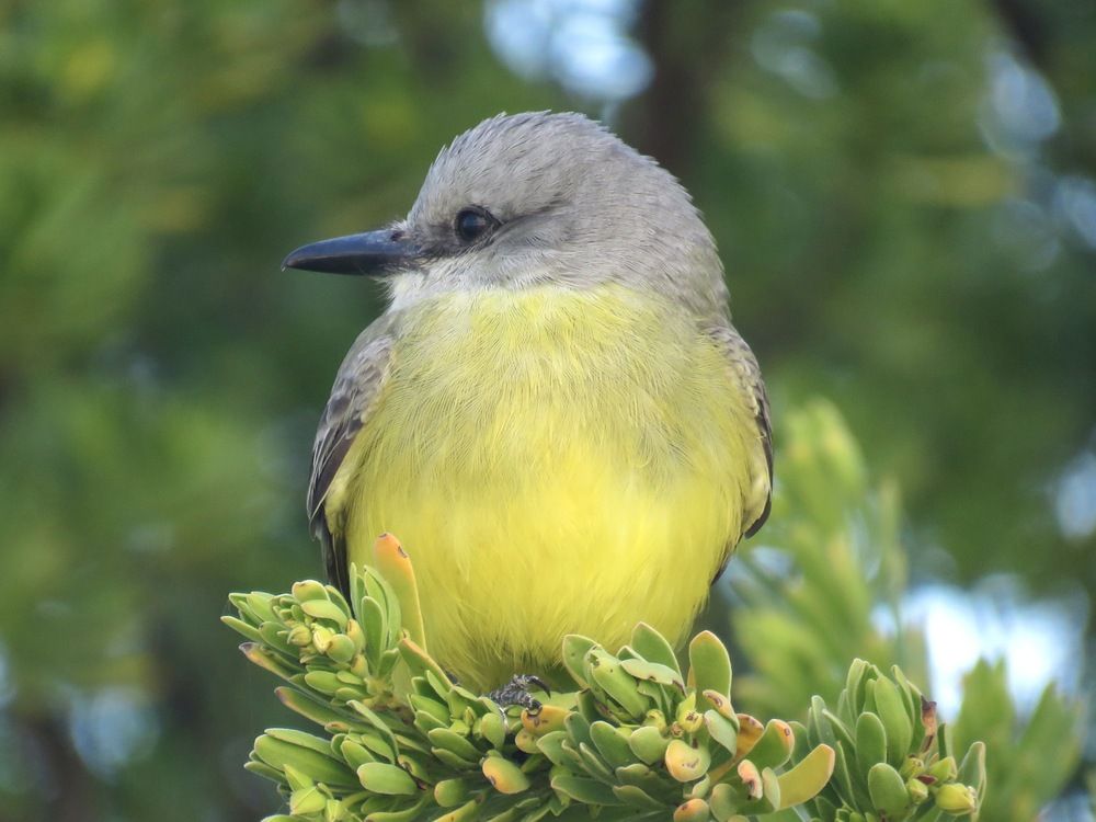 Photograph by Barbara