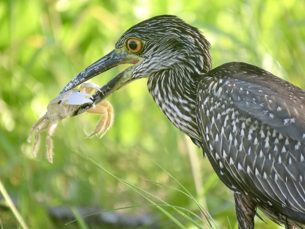 Photograph by Barbara