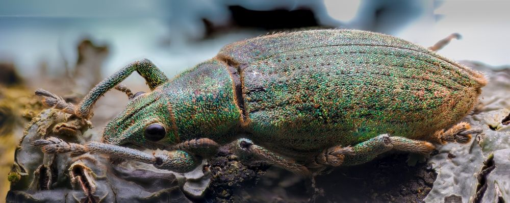 Photograph by Paws Hands