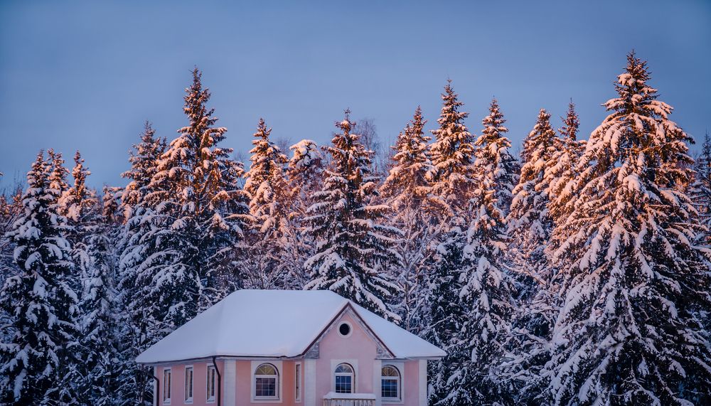 Photograph by Ольга Заповедная