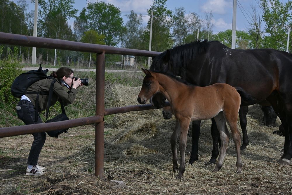 Photograph by IRINA FILIPPOVA