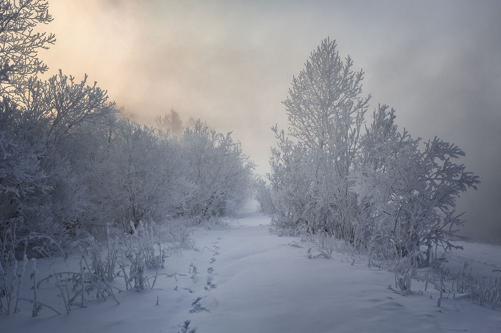 Фотография автора Олег Тетерин