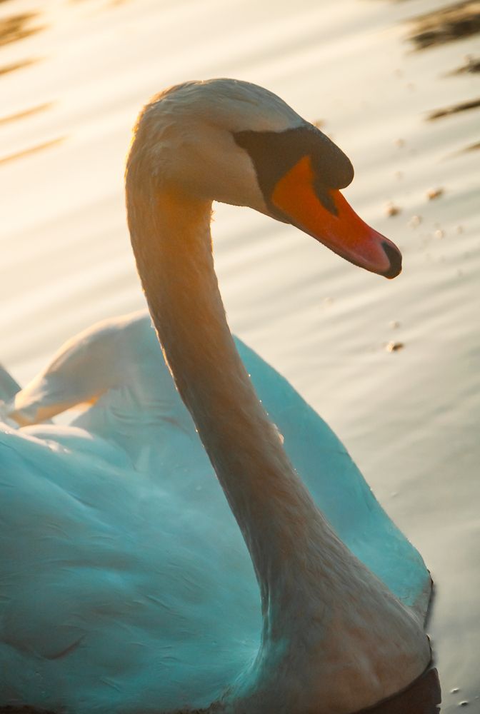 Photograph by Олег Анатольевич Загорулько