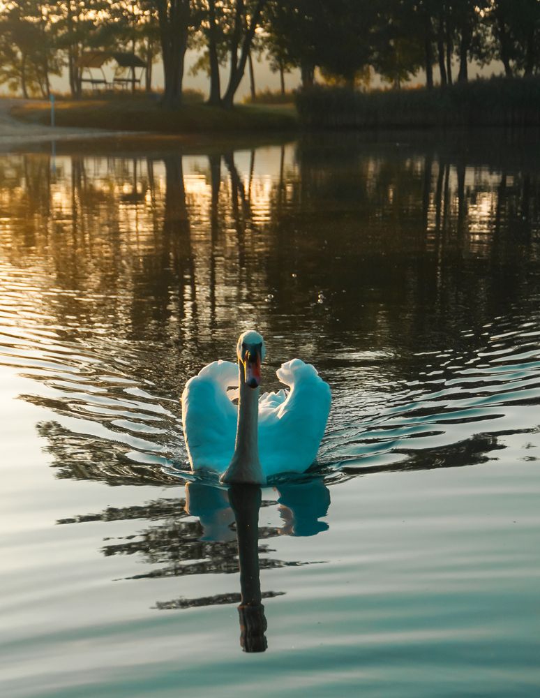 Photograph by Олег Анатольевич Загорулько