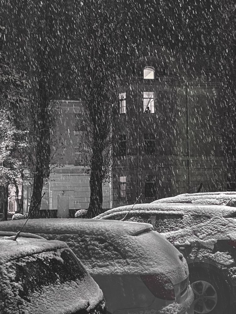 Фотография автора Вера Артеменко