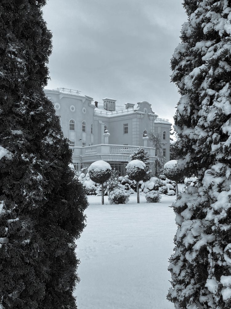 Фотография автора Вера Артеменко