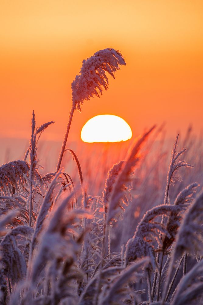 Photograph by Кривцов Андрей