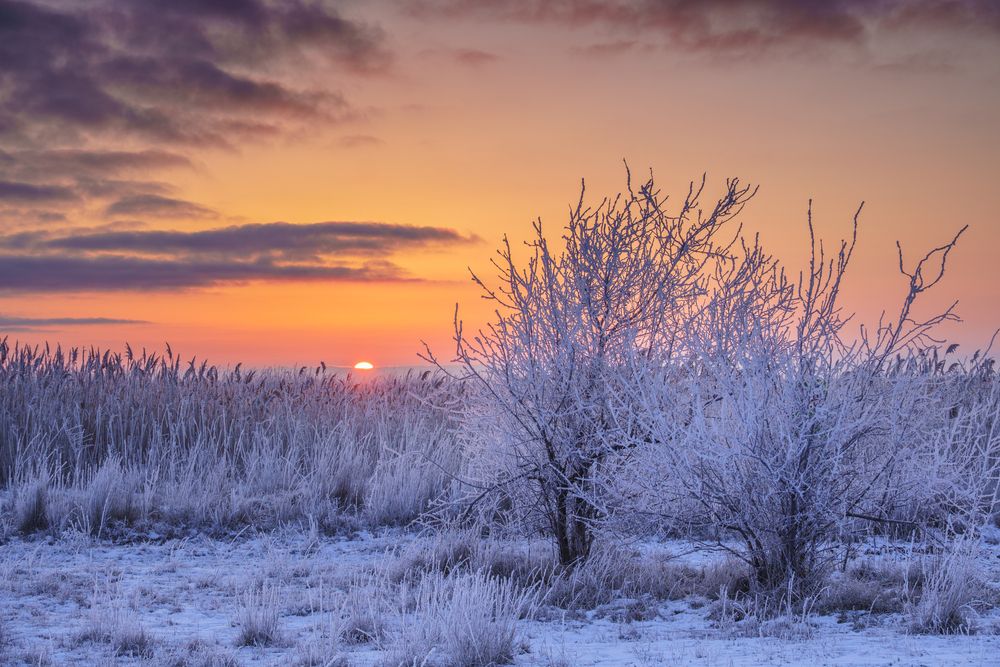 Photograph by Кривцов Андрей