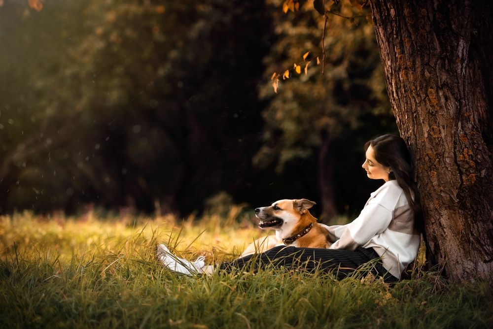 Photograph by Светлана Реунова