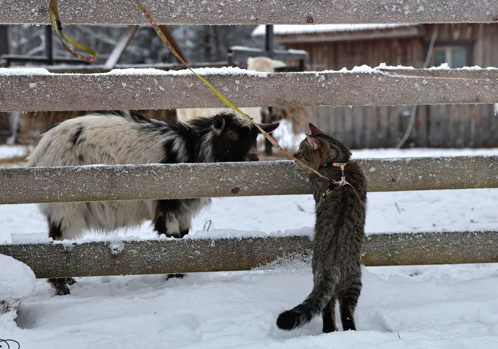 Photograph by Tatiana Svistulina