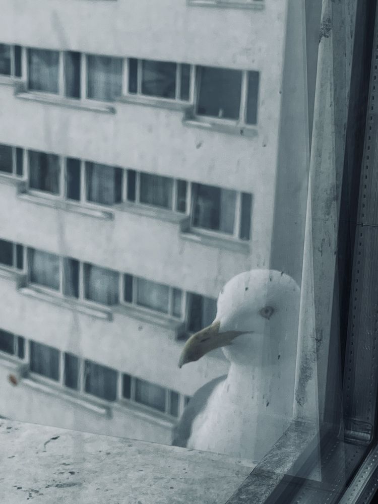 Photograph by Екатерина Сбитякова