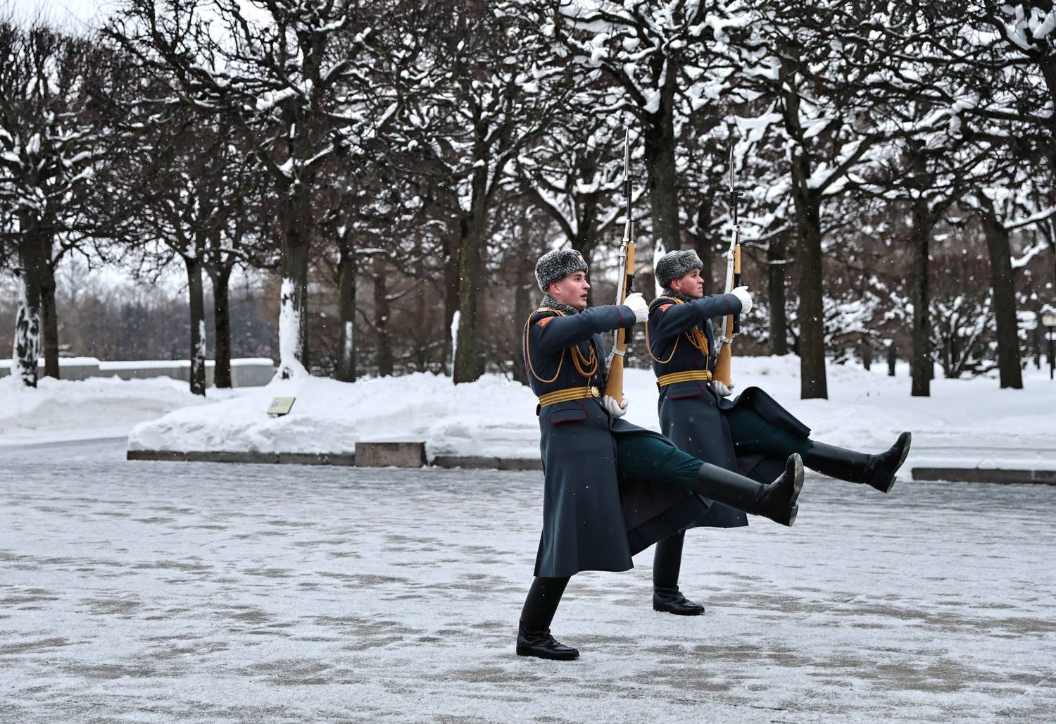 Photo #13130106