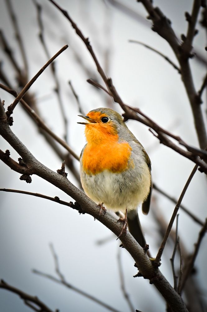 Photograph by Анна Халкониди