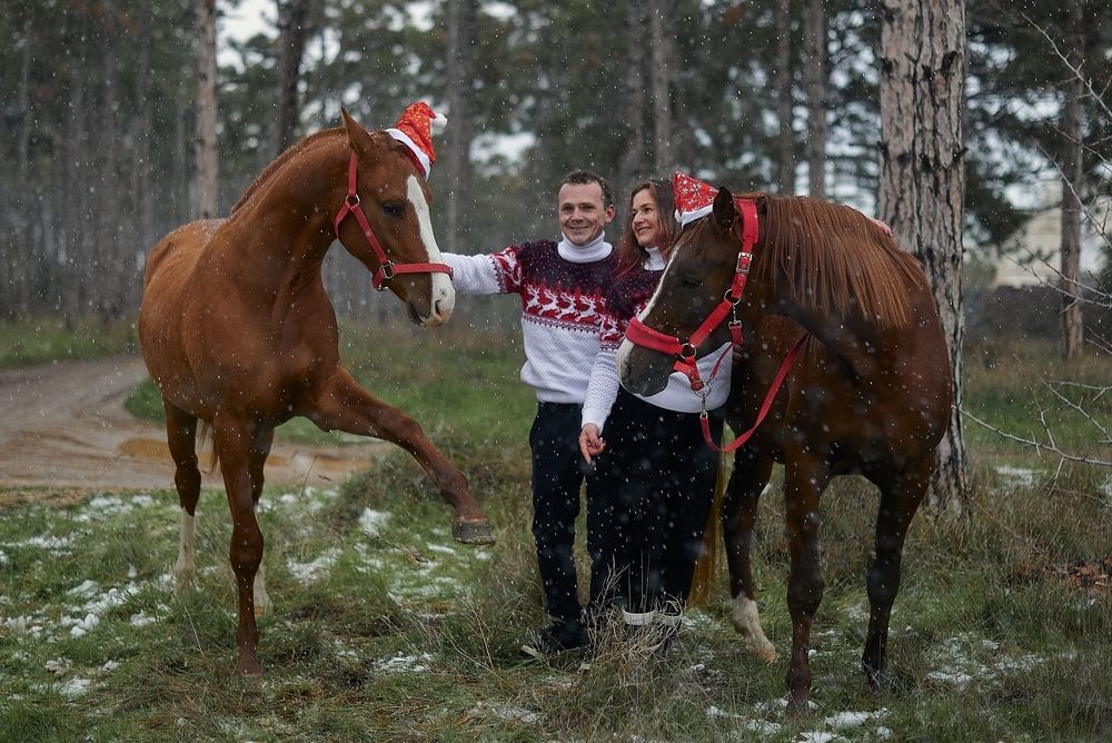 Фотография автора Дарья Кравченко