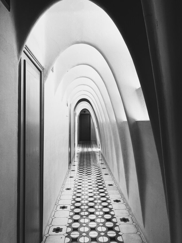 Photograph by Елена