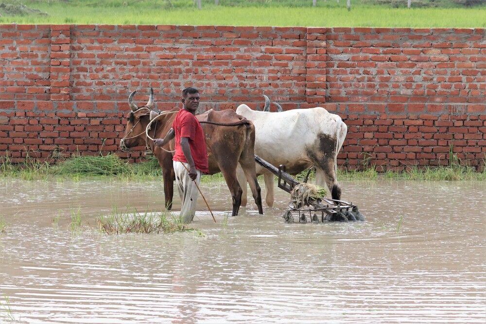 Photograph by Pankaj Kapoor