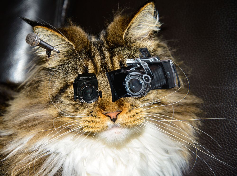 Все вижу, все слышу