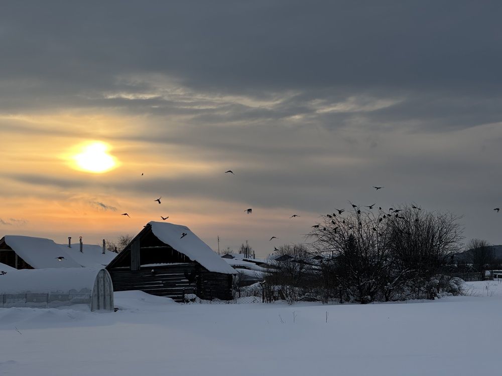 Photograph by Светлана Филатова