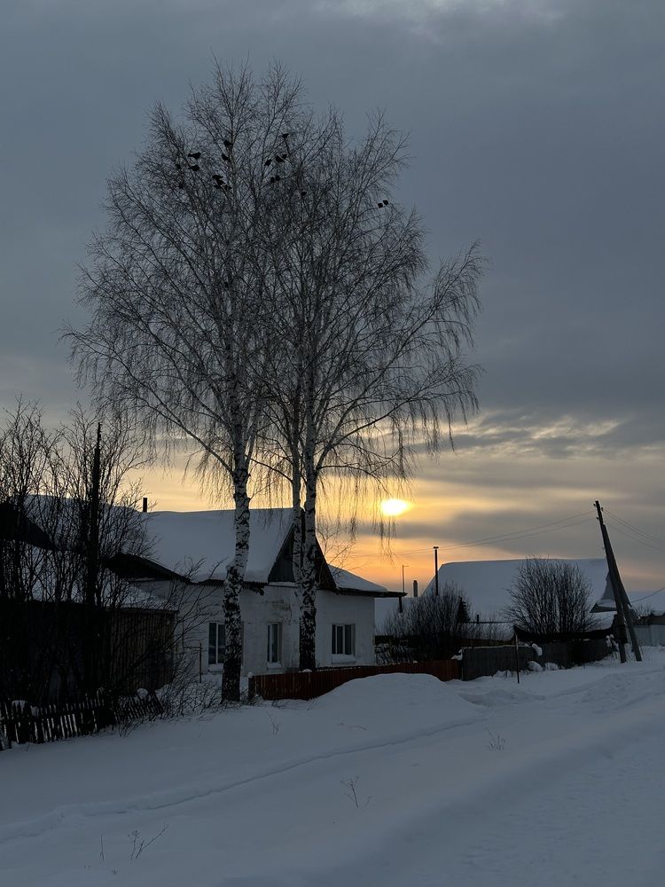 Photograph by Светлана Филатова