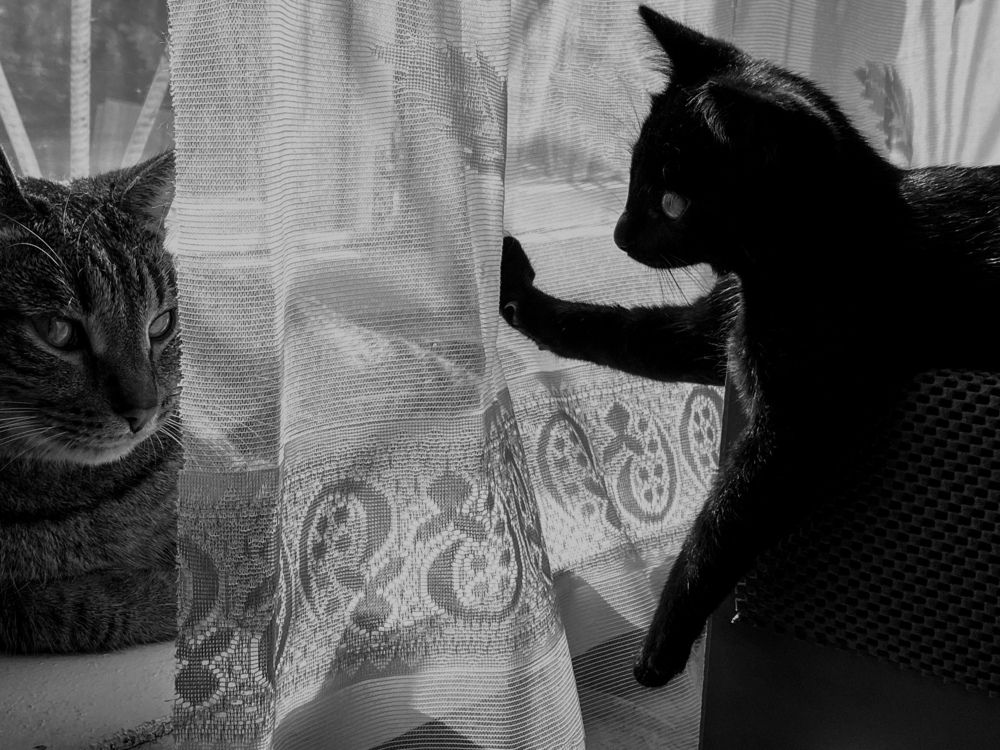 Photograph by Светлана Филатова