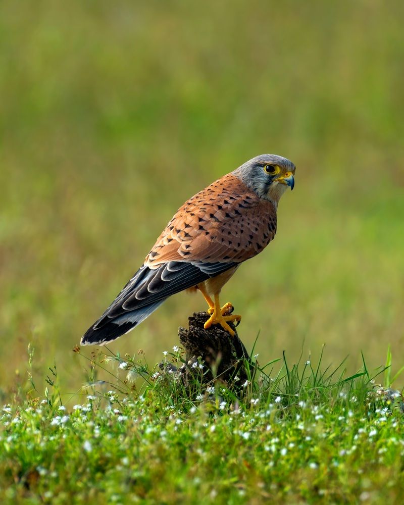 Photograph by Aaron R S