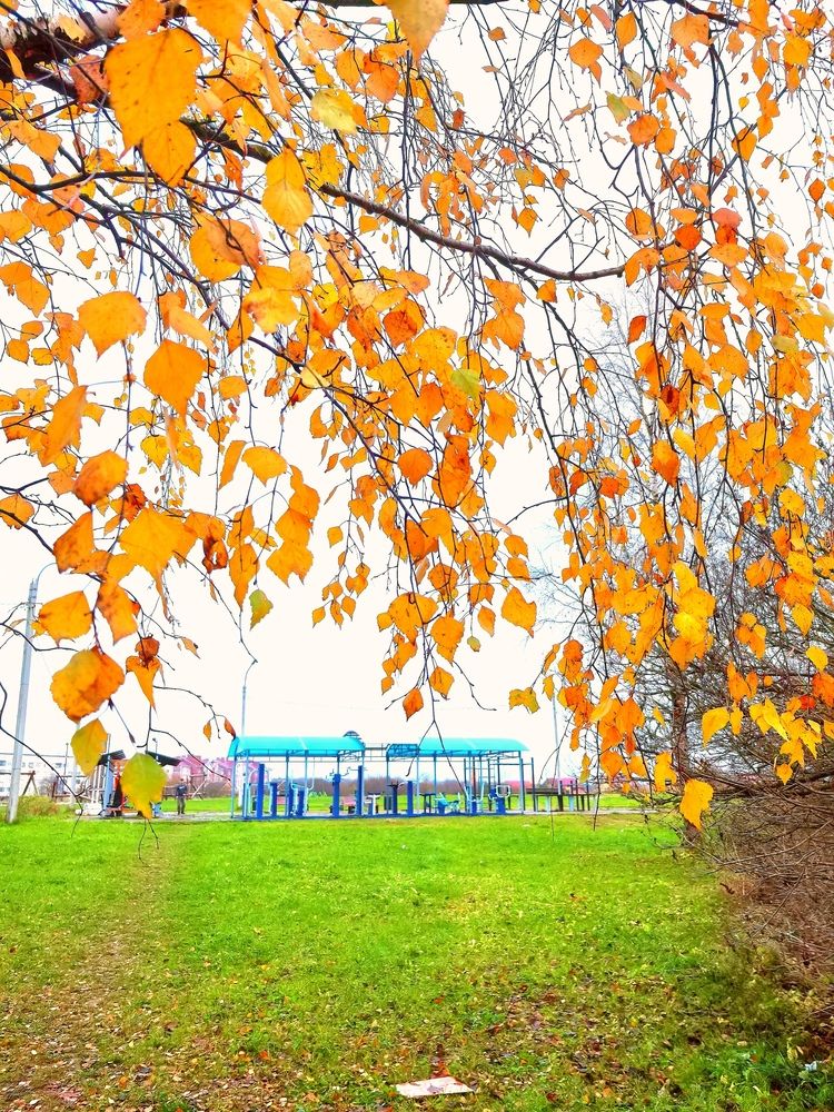 Photograph by Светлана Усанова