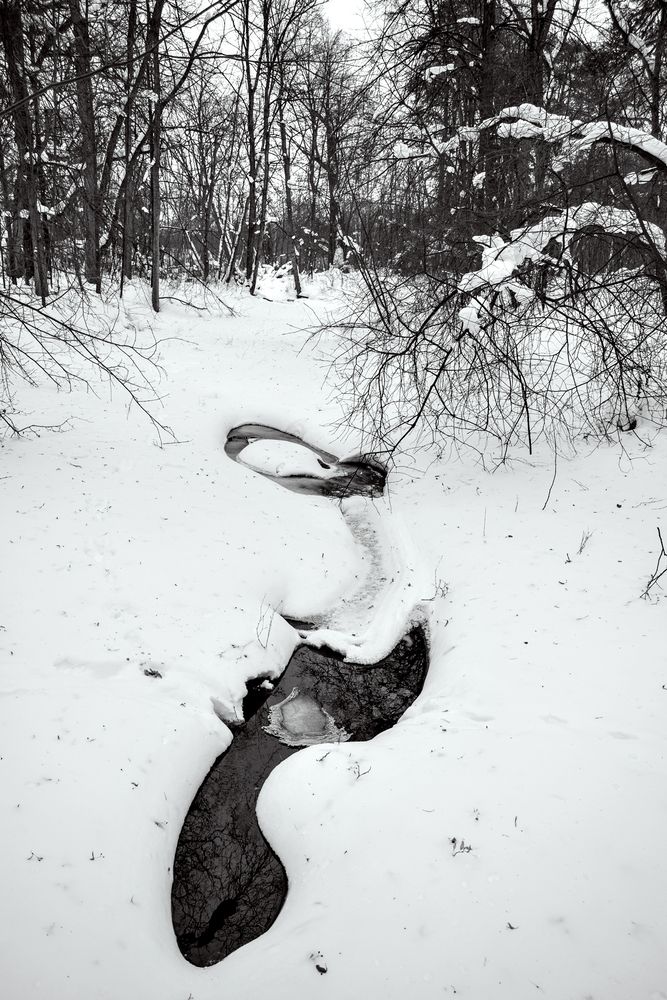 Photograph by Марина Шигапова