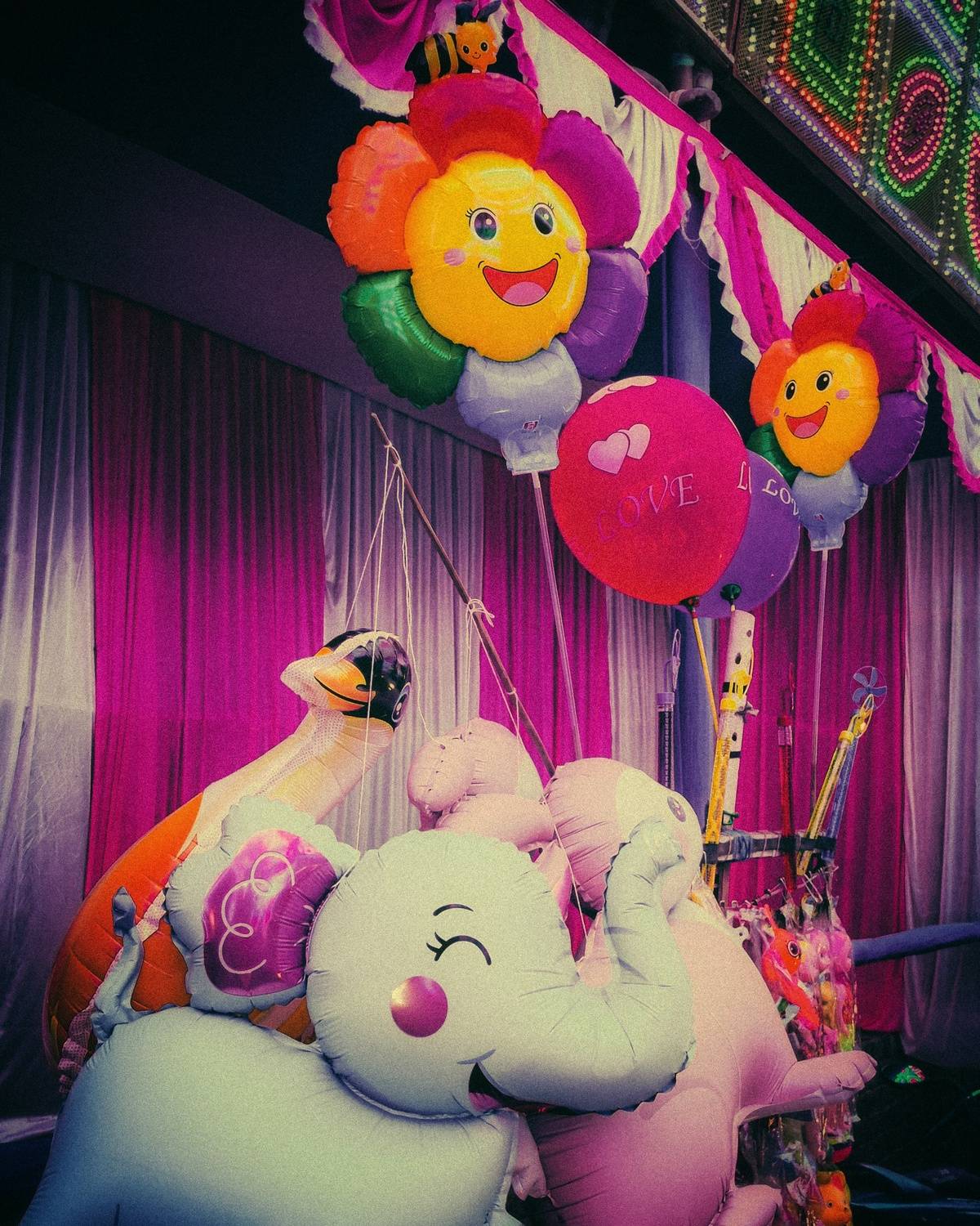 Photo #13130375
