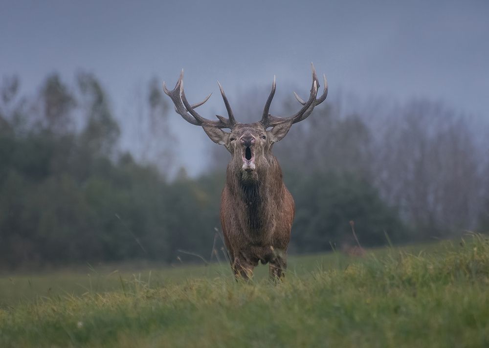 Photograph by Andrew Kuzmin