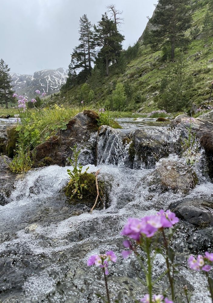 Photograph by Алиса Лукина