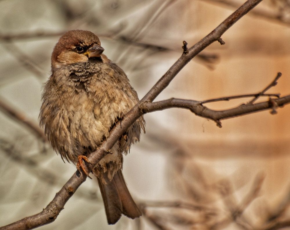 Photograph by Даниил Пузаков