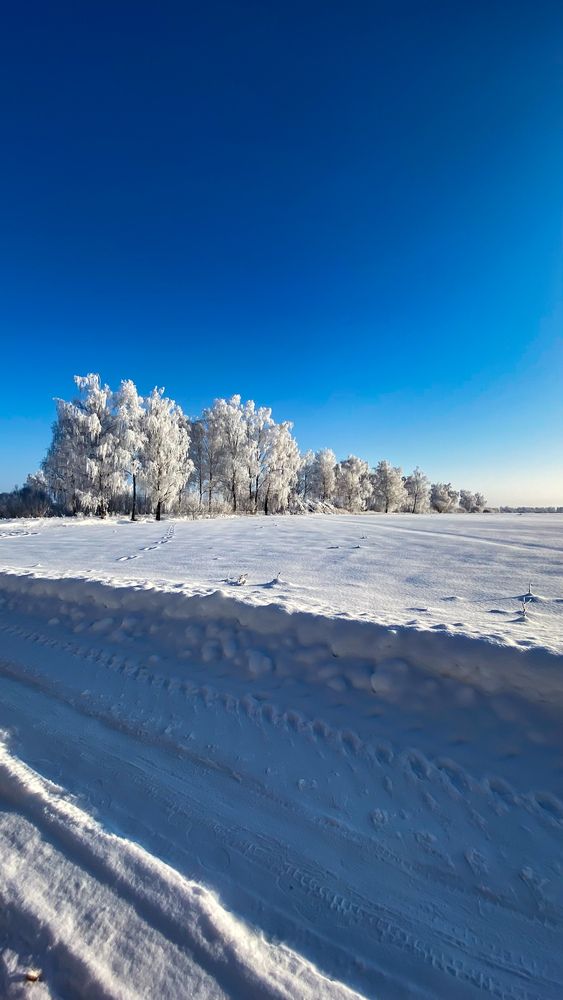 Photograph by Руслана Ковалевская