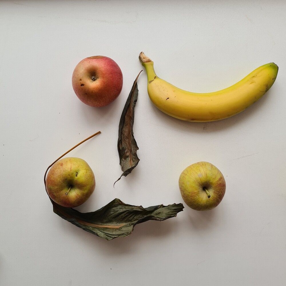 Фотография автора Ирина Дашевская