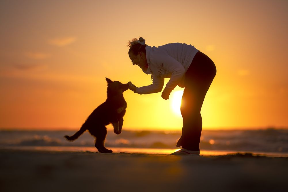 Photograph by Nathalie Soleil