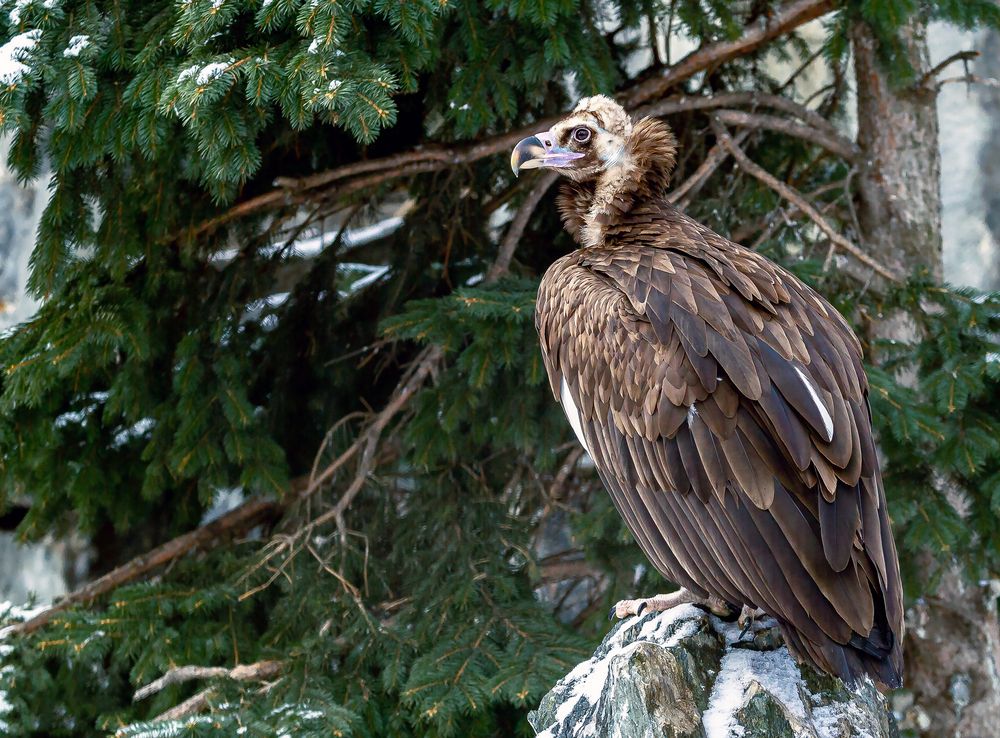 Фотография автора Dmitriy Frost