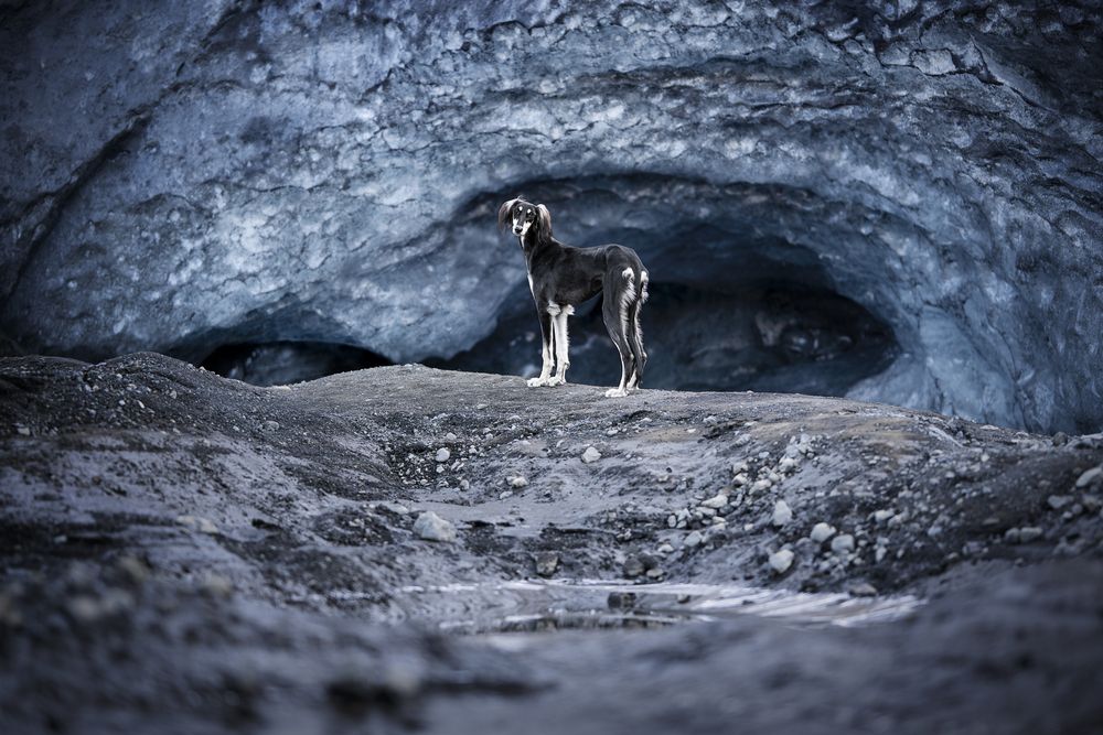 Photograph by Nathalie Soleil