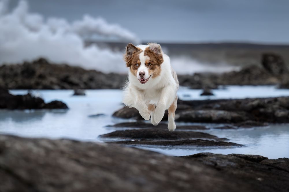 Photograph by Nathalie Soleil