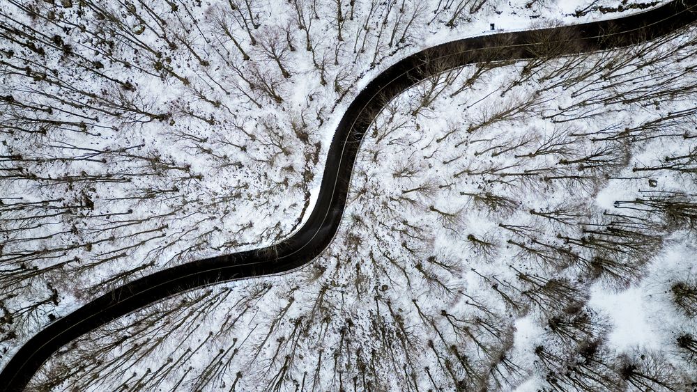 Photograph by Alessio Catallo