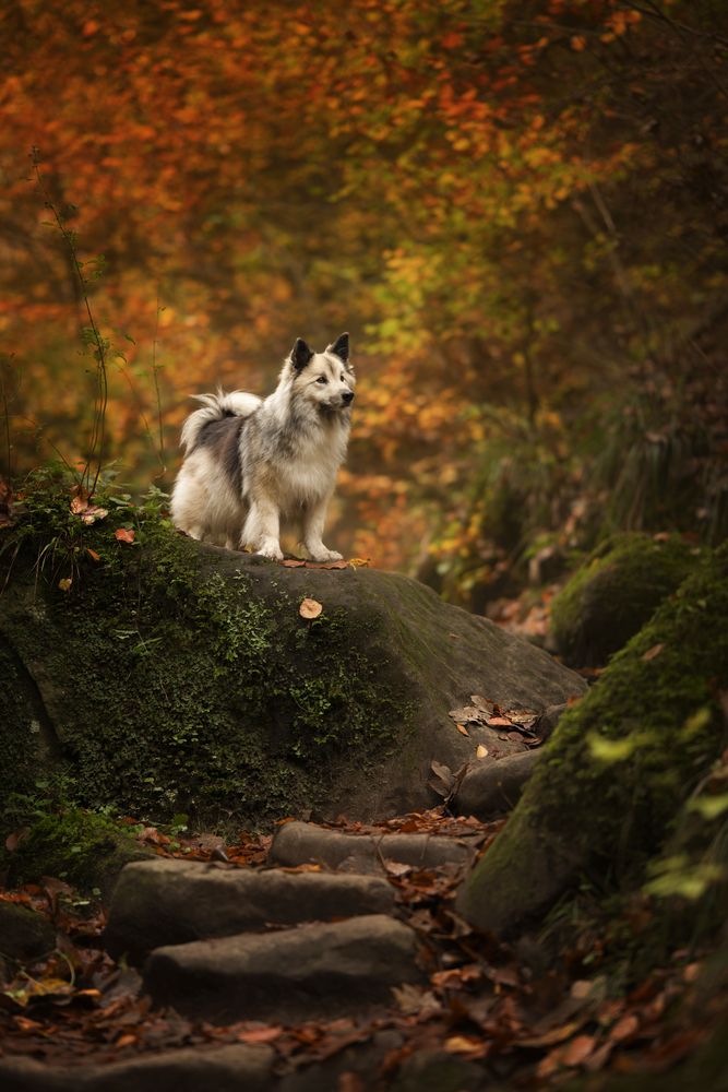 Photograph by Nathalie Soleil