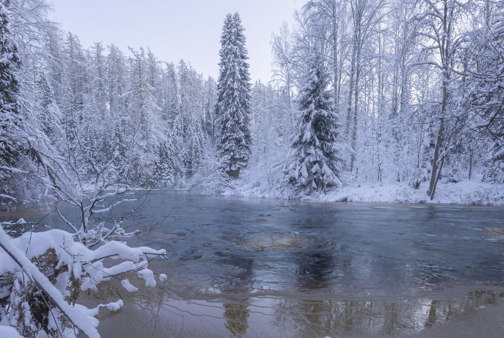 Фотография автора Дейнекина Галина
