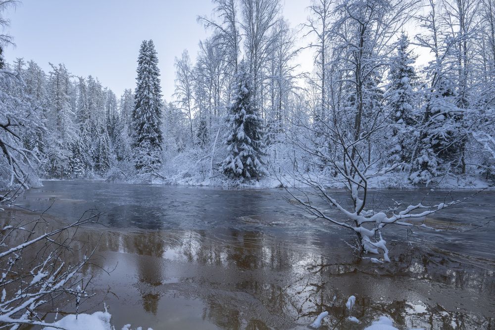 Фотография автора Дейнекина Галина