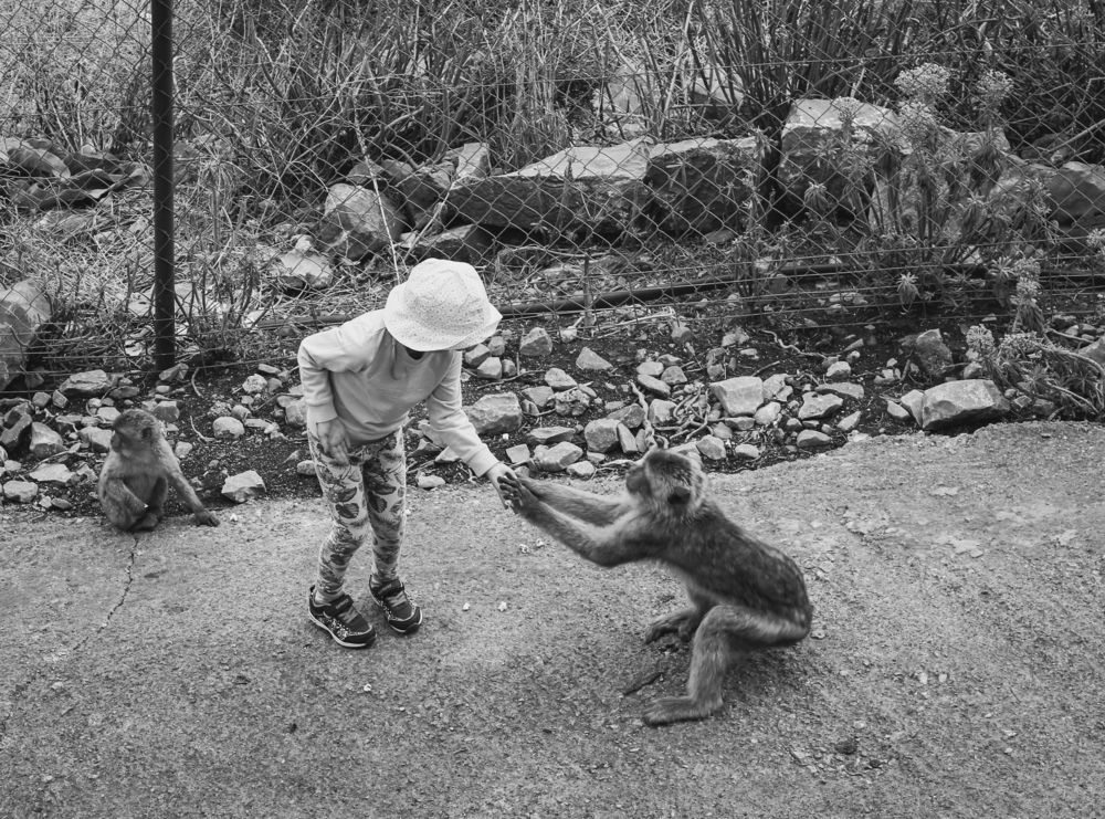 Photograph by Андрей Безгин