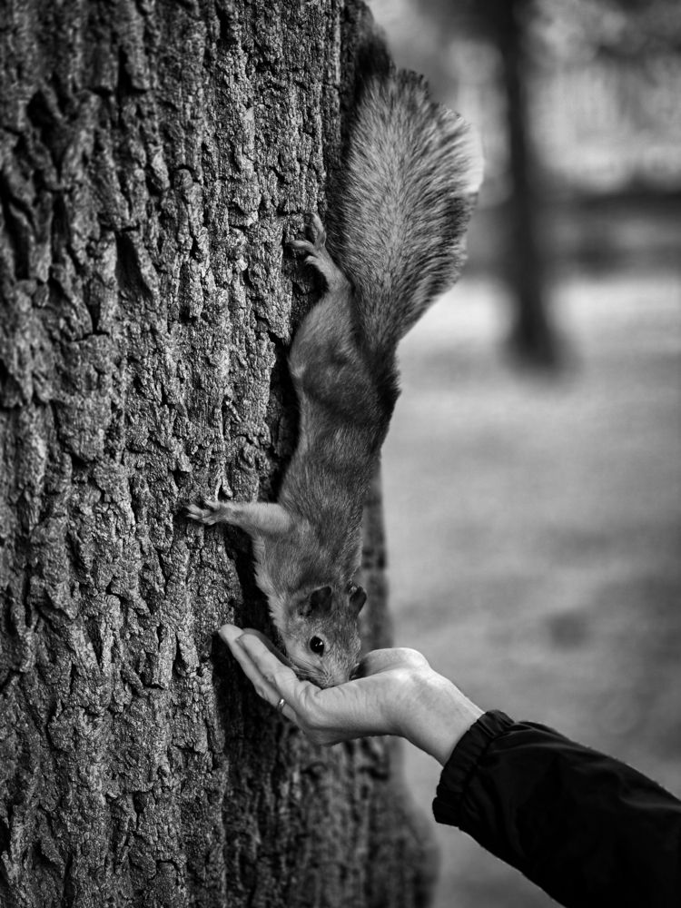 Photograph by Андрей Безгин