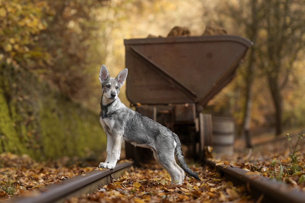 Photograph by Nathalie Soleil