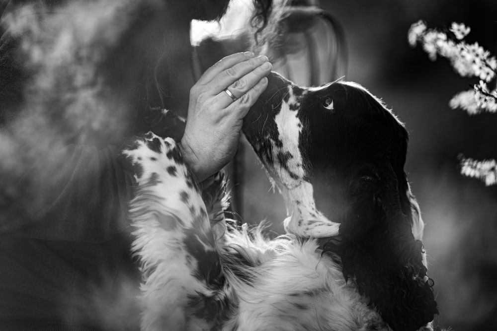 Photograph by Karolina Olejnik