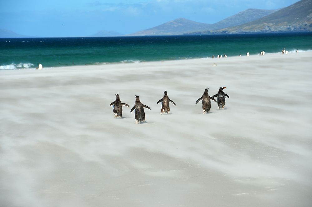 Photograph by Eliseev Nikolay