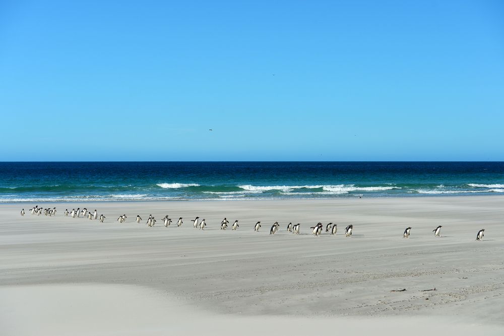 Photograph by Eliseev Nikolay