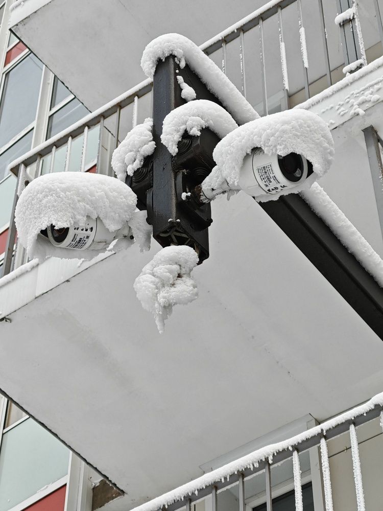 Photograph by Мария Тюрина